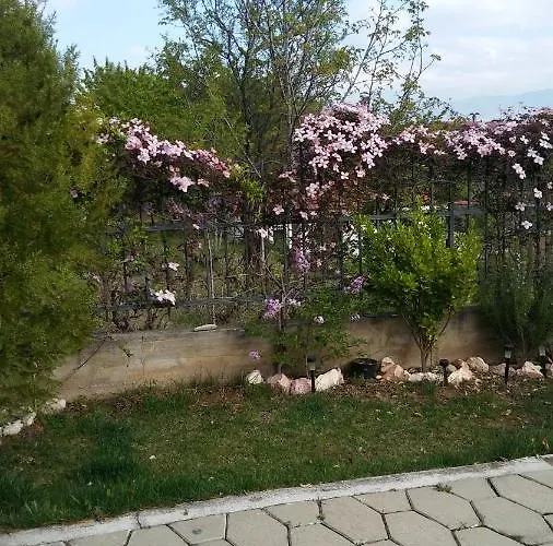 Апартаменты Dina *